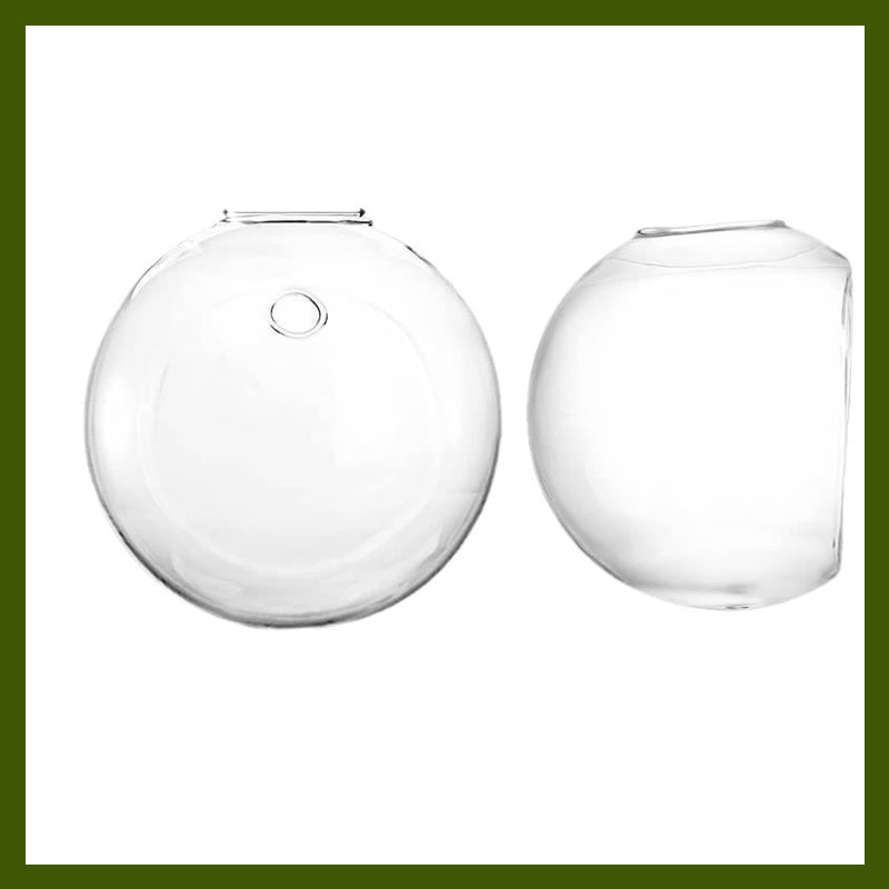 Wyeksponuj swoje rośliny na ścianach, bez wiercenia