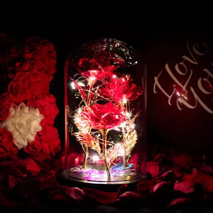 Rosa bajo Campana – Elegancia Lumínica y Atemporal 